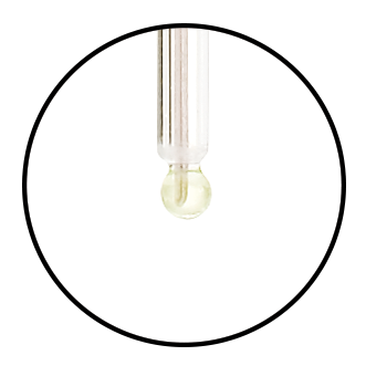 Micro Bulb